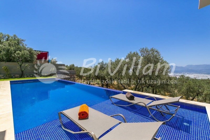 Villa Vals üzümlü 1-