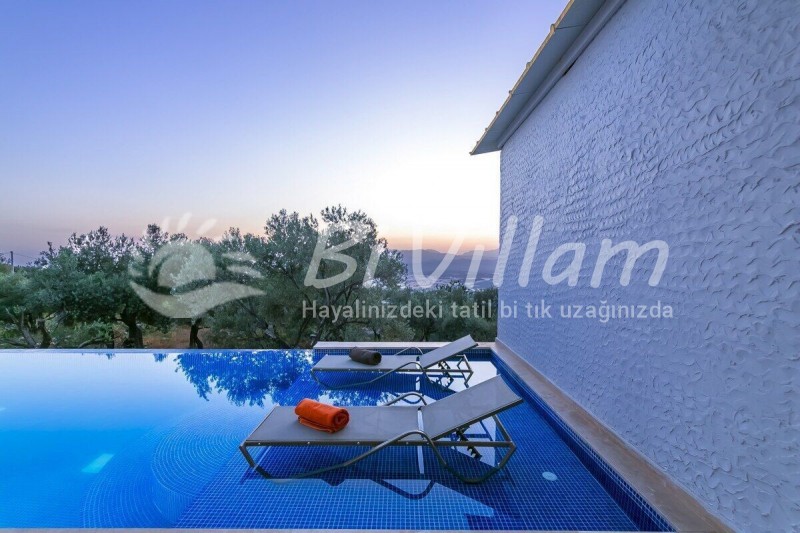 Villa Vals üzümlü 1-