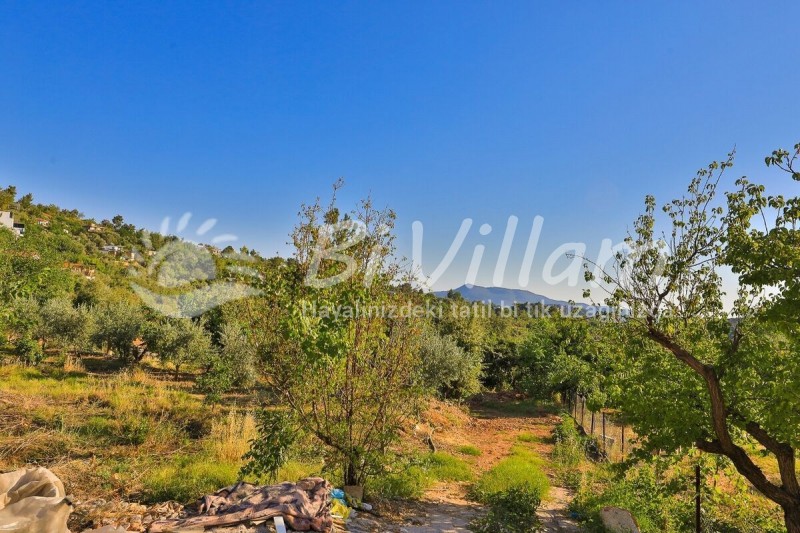 Villa TAŞ EV