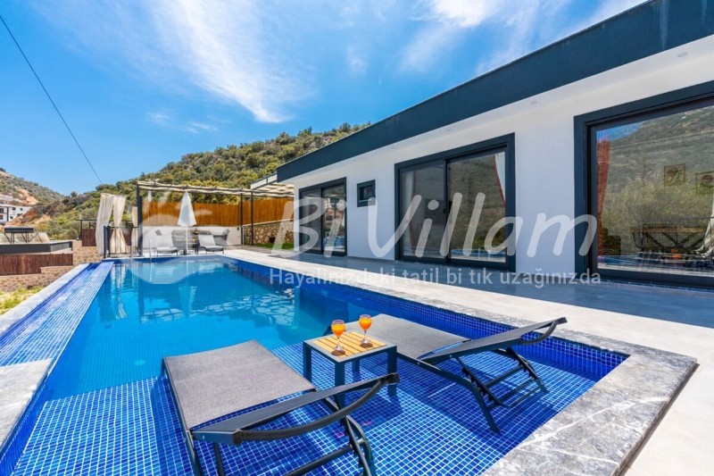 Villa Mister-