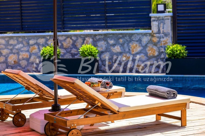 Villa Wooden House
