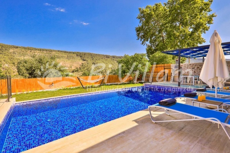 Villa Çınar
