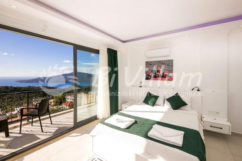 Villa Dream House