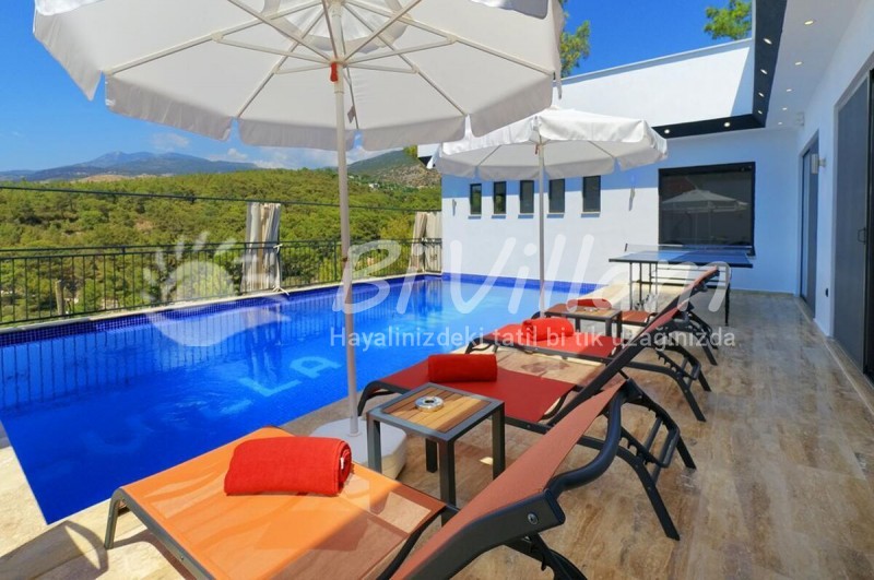 Villa Fenomen 2