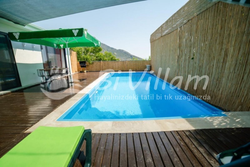 Villa Miami-